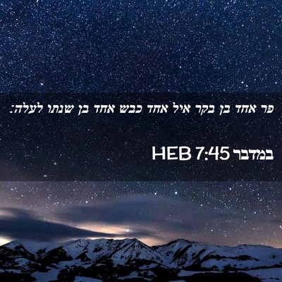 Picture 02 - במדבר 7:45 HEB - פר אחד בן בקר איל אחד כבש - Bible Verse Picture