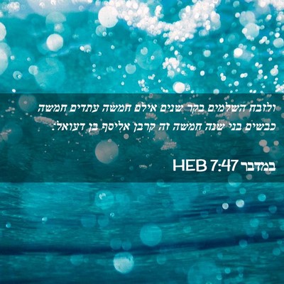 Picture 02 - במדבר 7:47 HEB - ולזבח השלמים בקר שנים אילם - Bible Verse Picture