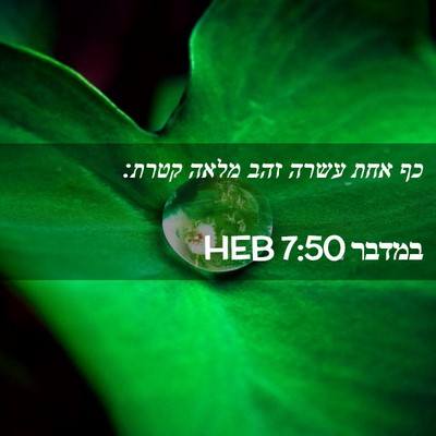 Picture 02 - במדבר 7:50 HEB - כף אחת עשרה זהב מלאה - Bible Verse Picture