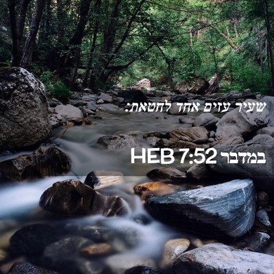 Picture 02 - במדבר 7:52 HEB - שעיר עזים אחד - Bible Verse Picture