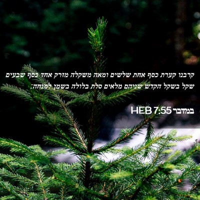 Picture 02 - במדבר 7:55 HEB - קרבנו קערת כסף אחת שלשים - Bible Verse Picture