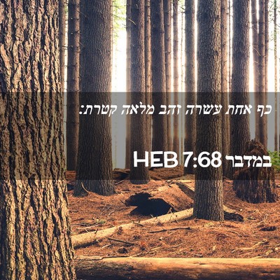 Picture 02 - במדבר 7:68 HEB - כף אחת עשרה זהב מלאה - Bible Verse Picture