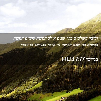 Picture 02 - במדבר 7:77 HEB - ולזבח השלמים בקר שנים אילם - Bible Verse Picture