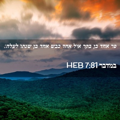 Picture 02 - במדבר 7:81 HEB - פר אחד בן בקר איל אחד כבש - Bible Verse Picture