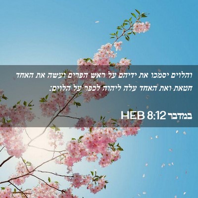 Picture 02 - במדבר 8:12 HEB - והלוים יסמכו את ידיהם על - Bible Verse Picture