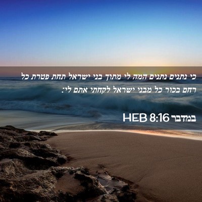 Picture 02 - במדבר 8:16 HEB - כי נתנים נתנים המה לי מתוך - Bible Verse Picture