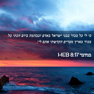 Picture 02 - במדבר 8:17 HEB - כי לי כל בכור בבני ישראל - Bible Verse Picture