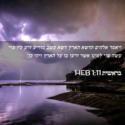 Picture 02 - בראשית 1:11 HEB - ויאמר אלהים תדשא הארץ דשא - Bible Verse Picture