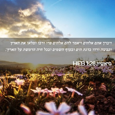 Picture 02 - בראשית 1:28 HEB - ויברך אתם אלהים ויאמר להם - Bible Verse Picture