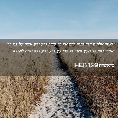 Picture 02 - בראשית 1:29 HEB - ויאמר אלהים הנה נתתי לכם את - Bible Verse Picture
