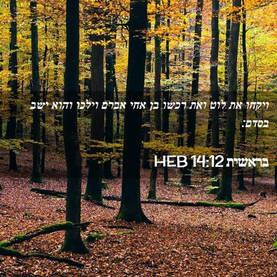 Picture 02 - בראשית 14:12 HEB - ויקחו את לוט ואת רכשו בן - Bible Verse Picture