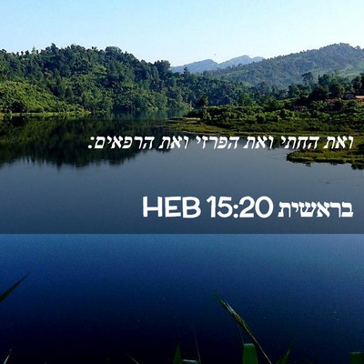 Picture 02 - בראשית 15:20 HEB - ואת החתי ואת הפרזי ואת - Bible Verse Picture