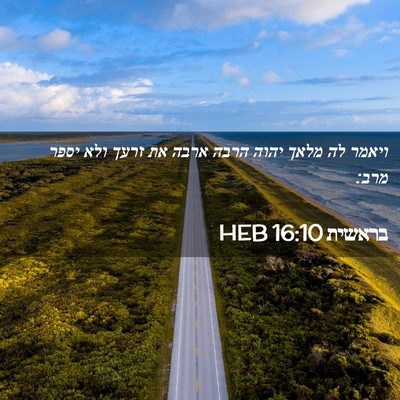 Picture 02 - בראשית 16:10 HEB - ויאמר לה מלאך יהוה הרבה - Bible Verse Picture