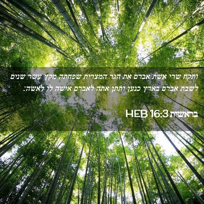 Picture 02 - בראשית 16:3 HEB - ותקח שרי אשת אברם את הגר - Bible Verse Picture