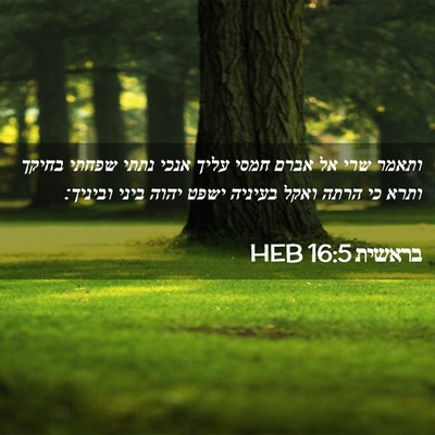 Picture 02 - בראשית 16:5 HEB - ותאמר שרי אל אברם חמסי עליך - Bible Verse Picture