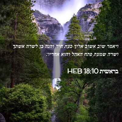 Picture 02 - בראשית 18:10 HEB - ויאמר שוב אשוב אליך כעת חיה - Bible Verse Picture