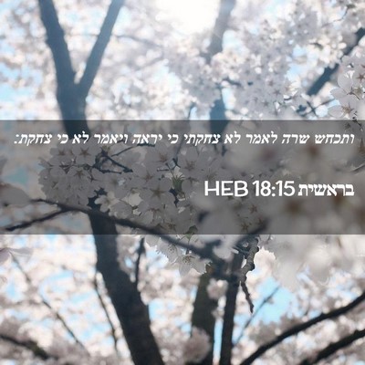 Picture 02 - בראשית 18:15 HEB - ותכחש שרה לאמר לא צחקתי כי - Bible Verse Picture