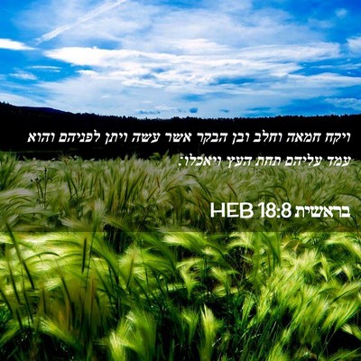 Picture 02 - בראשית 18:8 HEB - ויקח חמאה וחלב ובן הבקר אשר - Bible Verse Picture