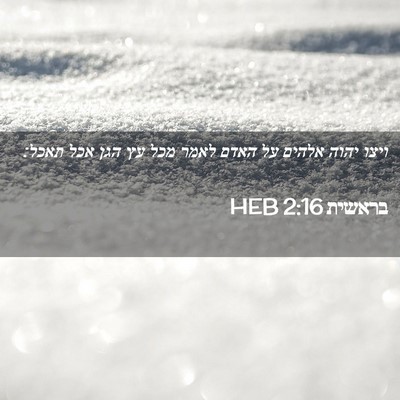 Picture 02 - בראשית 2:16 HEB - ויצו יהוה אלהים על האדם - Bible Verse Picture