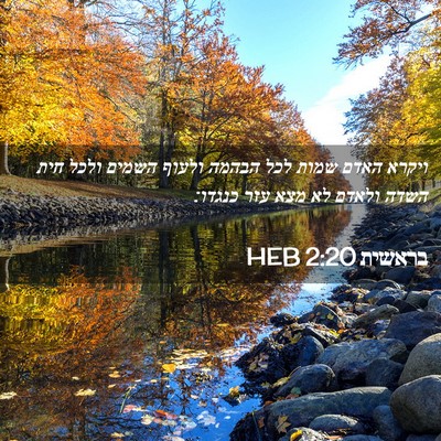 Picture 02 - בראשית 2:20 HEB - ויקרא האדם שמות לכל הבהמה - Bible Verse Picture