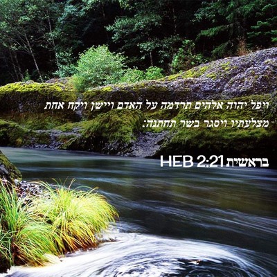 Picture 02 - בראשית 2:21 HEB - ויפל יהוה אלהים תרדמה על - Bible Verse Picture