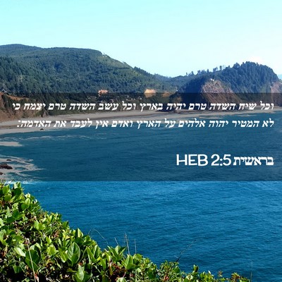 Picture 02 - בראשית 2:5 HEB - וכל שיח השדה טרם יהיה בארץ - Bible Verse Picture