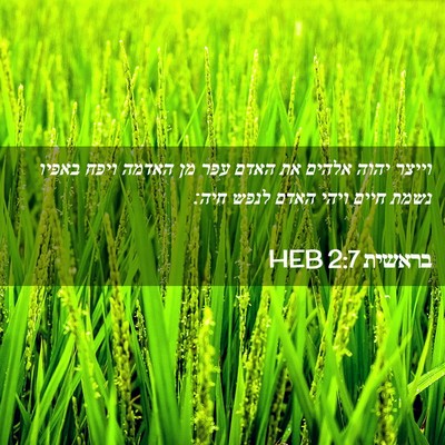 Picture 02 - בראשית 2:7 HEB - וייצר יהוה אלהים את האדם - Bible Verse Picture