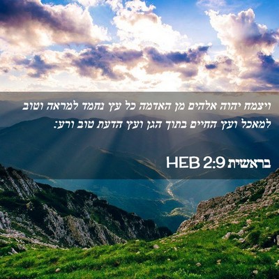 Picture 02 - בראשית 2:9 HEB - ויצמח יהוה אלהים מן האדמה - Bible Verse Picture