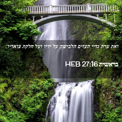 Picture 02 - בראשית 27:16 HEB - ואת ערת גדיי העזים הלבישה - Bible Verse Picture