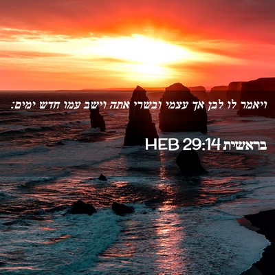 Picture 02 - בראשית 29:14 HEB - ויאמר לו לבן אך עצמי ובשרי - Bible Verse Picture