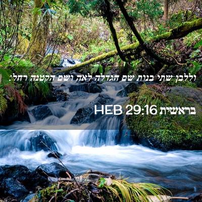 Picture 02 - בראשית 29:16 HEB - וללבן שתי בנות שם הגדלה לאה - Bible Verse Picture