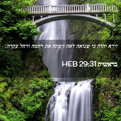 Picture 02 - בראשית 29:31 HEB - וירא יהוה כי שנואה לאה - Bible Verse Picture
