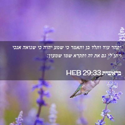 Picture 02 - בראשית 29:33 HEB - ותהר עוד ותלד בן ותאמר כי - Bible Verse Picture