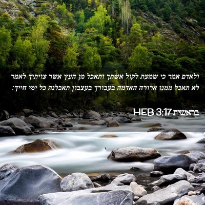Picture 02 - בראשית 3:17 HEB - ולאדם אמר כי שמעת לקול אשתך - Bible Verse Picture