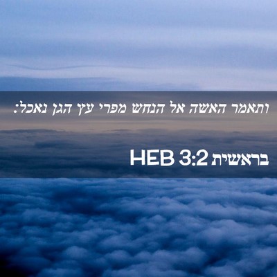 Picture 02 - בראשית 3:2 HEB - ותאמר האשה אל הנחש מפרי עץ - Bible Verse Picture
