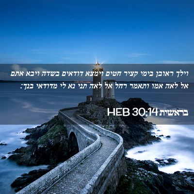 Picture 02 - בראשית 30:14 HEB - וילך ראובן בימי קציר חטים - Bible Verse Picture
