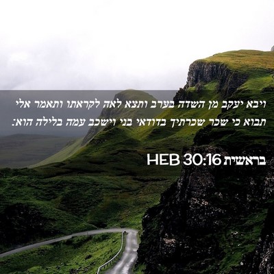 Picture 02 - בראשית 30:16 HEB - ויבא יעקב מן השדה בערב ותצא - Bible Verse Picture
