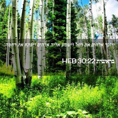 Picture 02 - בראשית 30:22 HEB - ויזכר אלהים את רחל וישמע - Bible Verse Picture