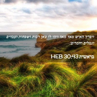 Picture 02 - בראשית 30:43 HEB - ויפרץ האיש מאד מאד ויהי לו - Bible Verse Picture