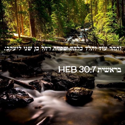 Picture 02 - בראשית 30:7 HEB - ותהר עוד ותלד בלהה שפחת רחל - Bible Verse Picture
