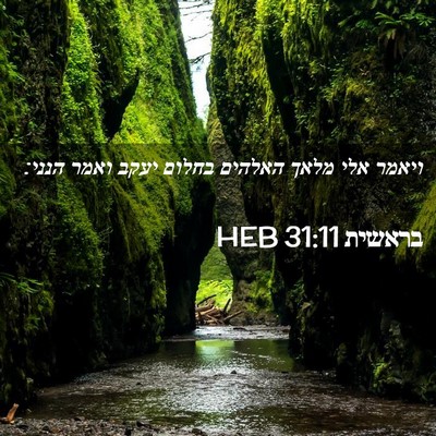 Picture 02 - בראשית 31:11 HEB - ויאמר אלי מלאך האלהים - Bible Verse Picture
