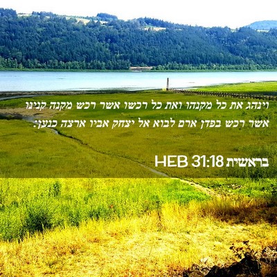 Picture 02 - בראשית 31:18 HEB - וינהג את כל מקנהו ואת כל - Bible Verse Picture