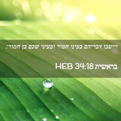 Picture 02 - בראשית 34:18 HEB - וייטבו דבריהם בעיני חמור - Bible Verse Picture