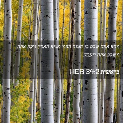 Picture 02 - בראשית 34:2 HEB - וירא אתה שכם בן חמור החוי - Bible Verse Picture