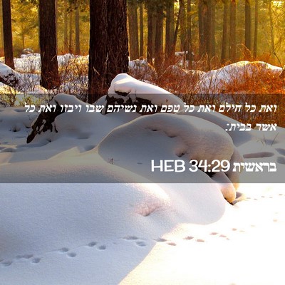 Picture 02 - בראשית 34:29 HEB - ואת כל חילם ואת כל טפם ואת - Bible Verse Picture