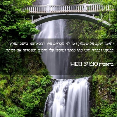 Picture 02 - בראשית 34:30 HEB - ויאמר יעקב אל שמעון ואל לוי - Bible Verse Picture