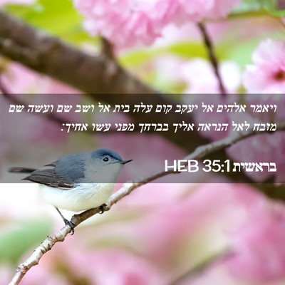 Picture 02 - בראשית 35:1 HEB - ויאמר אלהים אל יעקב קום עלה - Bible Verse Picture