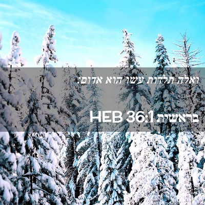 Picture 02 - בראשית 36:1 HEB - ואלה תלדות עשו הוא - Bible Verse Picture