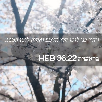 Picture 02 - בראשית 36:22 HEB - ויהיו בני לוטן חרי והימם - Bible Verse Picture