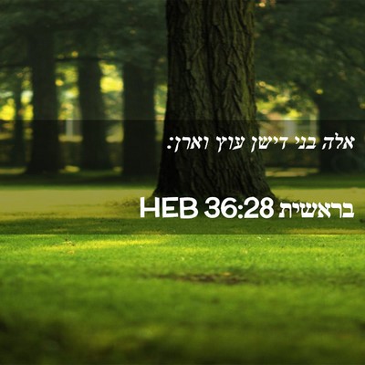 Picture 02 - בראשית 36:28 HEB - אלה בני דישן עוץ - Bible Verse Picture